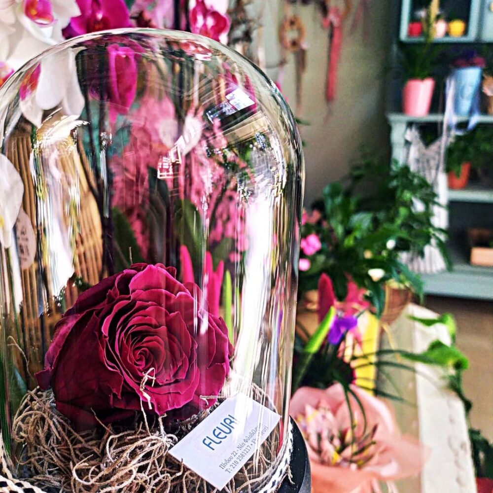 Forever Rose