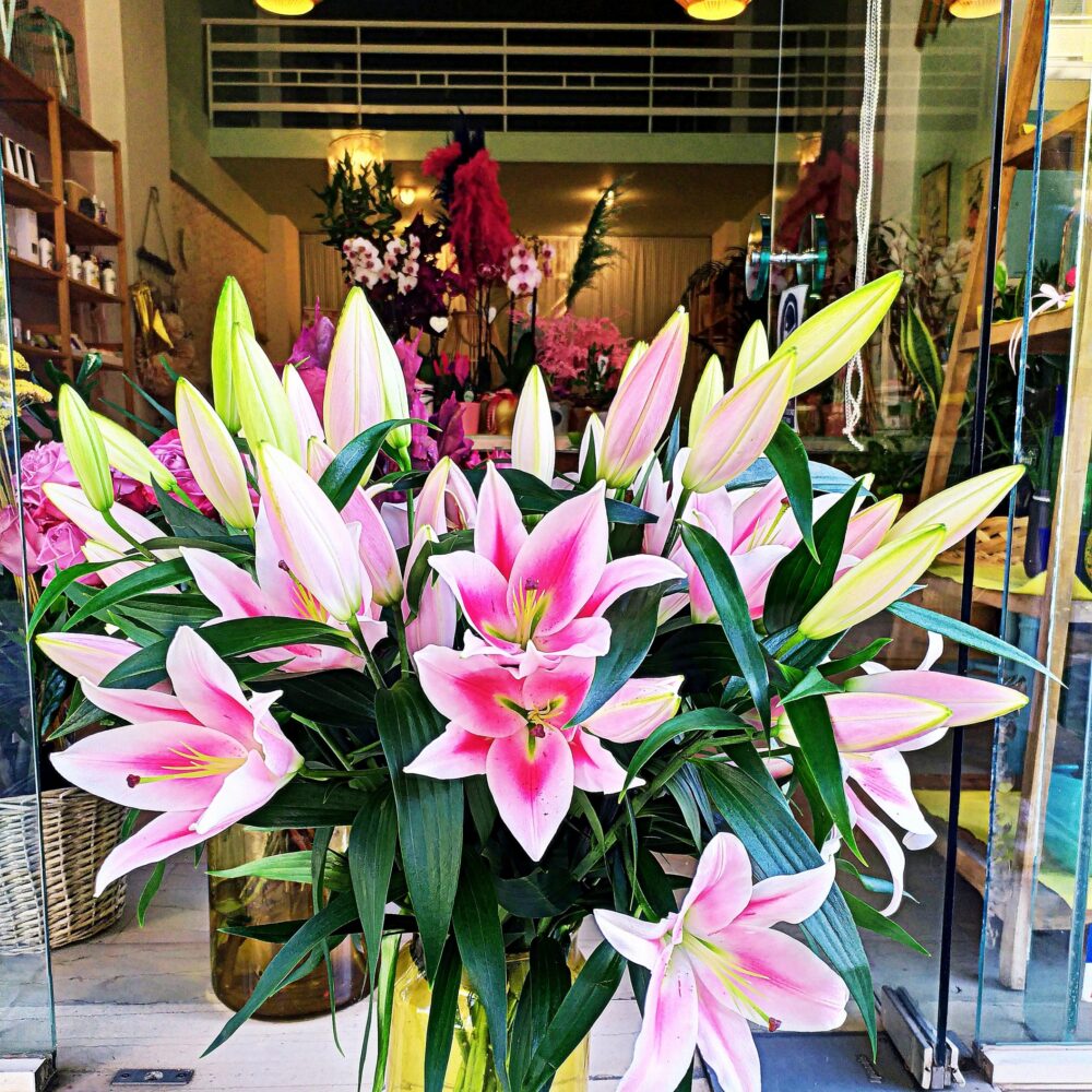 Bouquet Stargazer